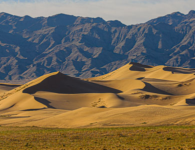 Khongor sand dune mongolia