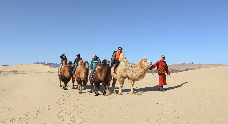 Mongolia two humped camel riding