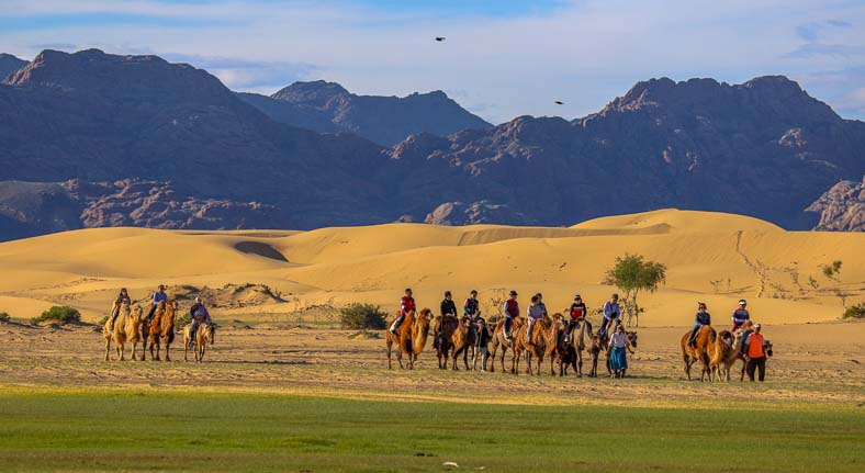 Camel ridng Mongolia