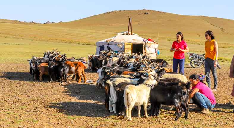 Mongolia nomadic life tour