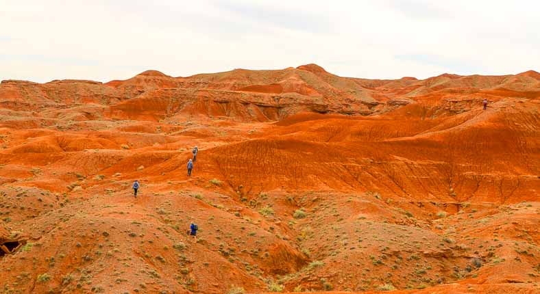 Mongolia dinosaur fossil area