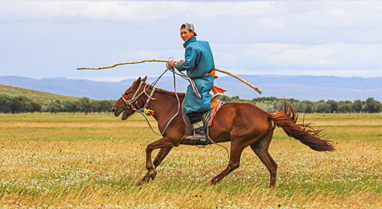 Mongolia equestrian