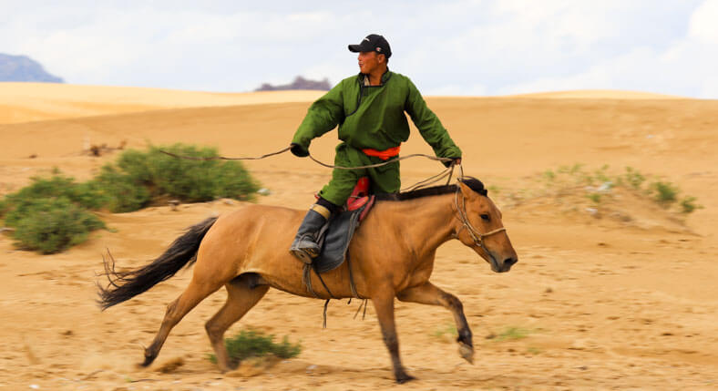 Gobi Desert Naadam