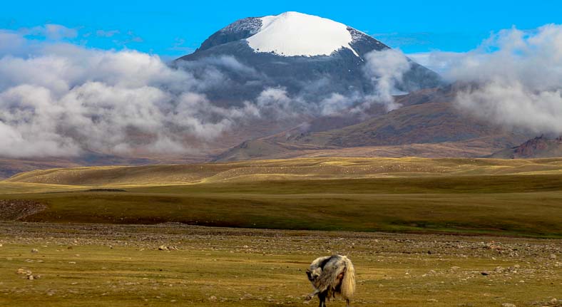 Mongolia Otgontenger mountain