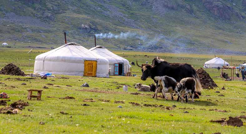 Nomads of Mongolia