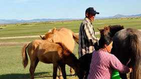 Things to do in central Mongolia