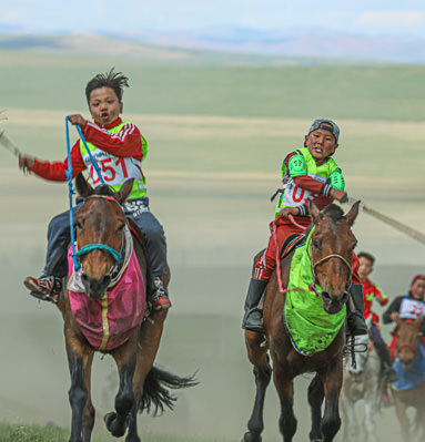 Mongolia racing horses