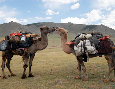 Mongolia Ger Transport
