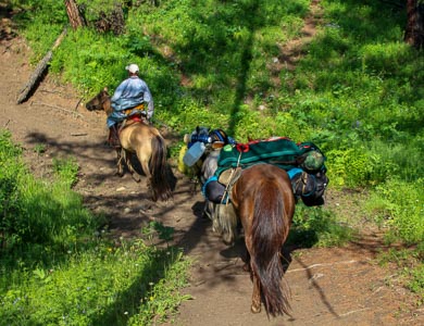 Eight Lakes horse riding