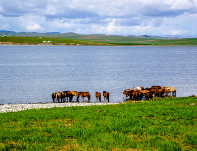 Mongolia Ugii Lake