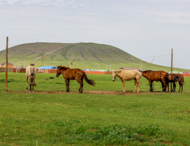 Altan Ovoo volcano