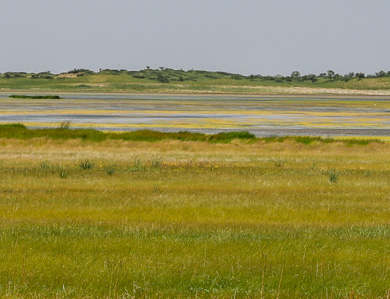 Mongolia Ganga Lake