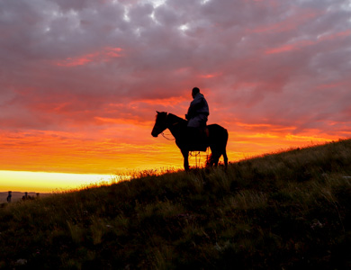 Shiliin Bogd