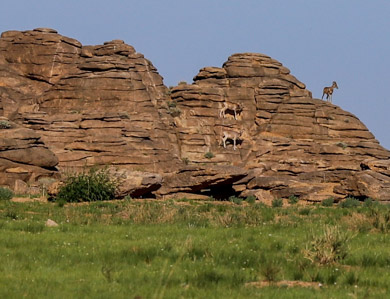 Mongolia Ikh Nart