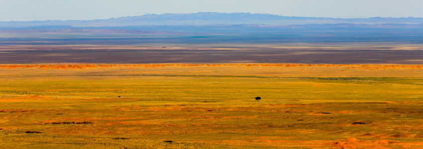 Gobi desert fact