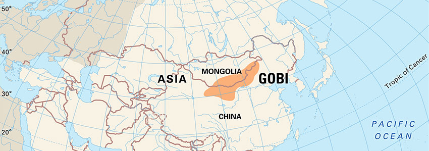Gobi desert location