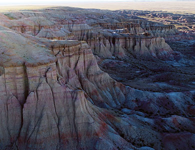 Gobi desert Mongolia