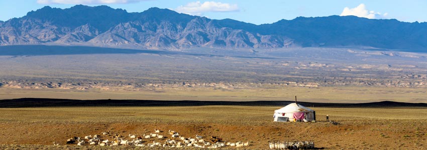 Gobi desert nomads