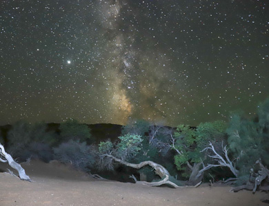 Gobi desert star