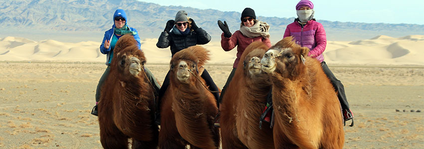 Mongolian Gobi desert