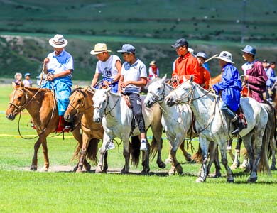 Naadam Festival Autdience