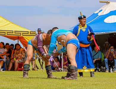 Naadam Festival Wrestling