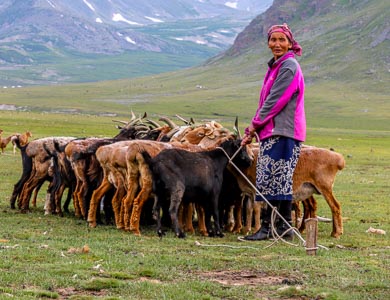 Mongolia nomad family stay