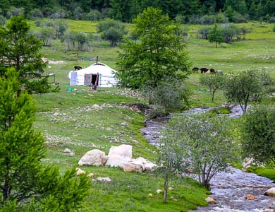 nomad family Mongolia