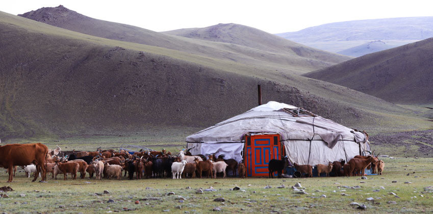 Driving in Mongolia