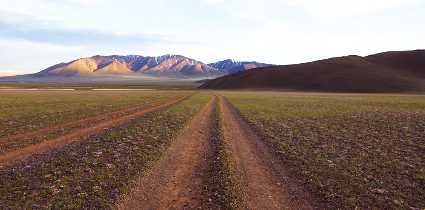 Self drive Mongolia