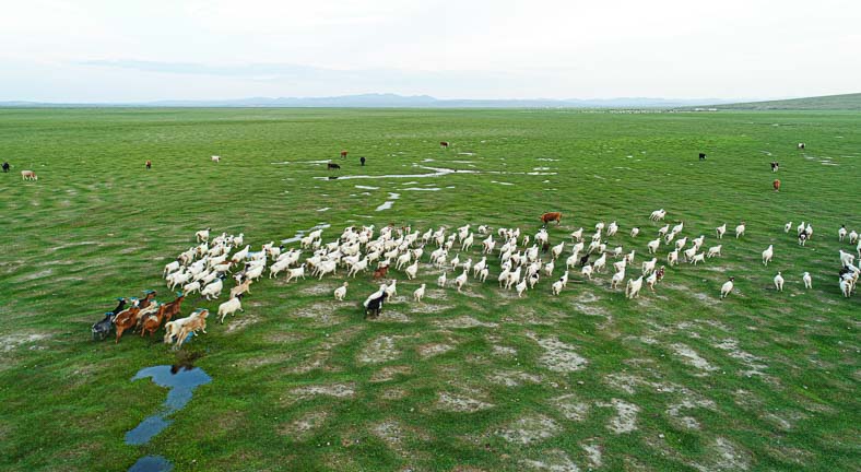 Central Mongolia scenery