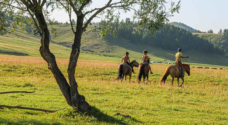 Mongolia naadam festival tour