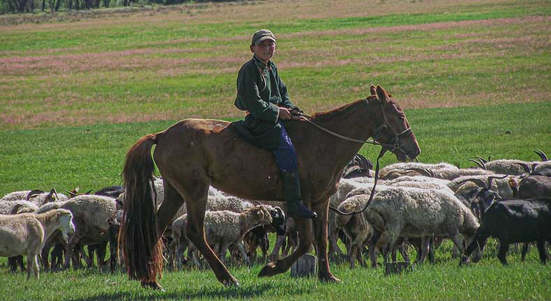 Discover Mongolia