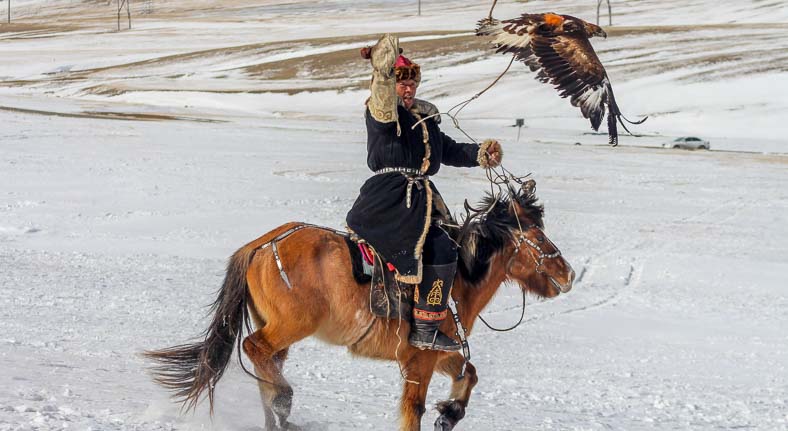 Mongolia eagle hunter
