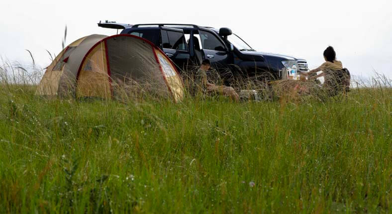 eastern Mongolian grassland