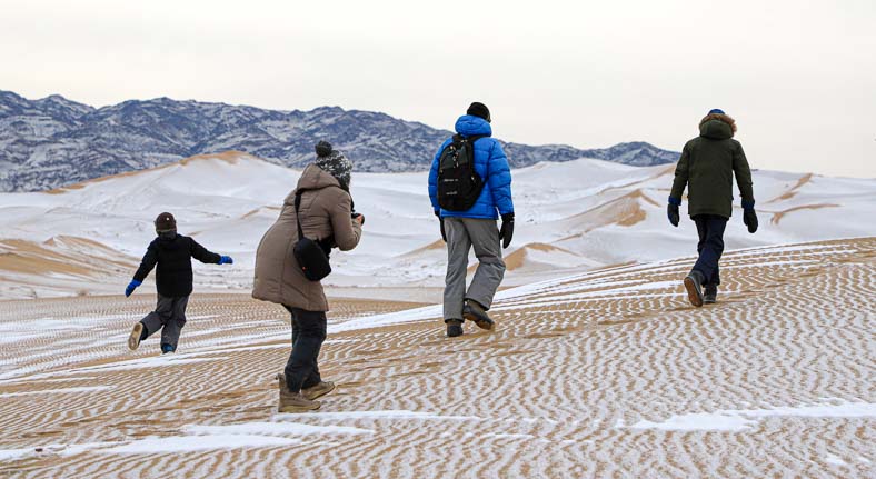 Desert in winter