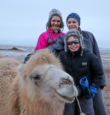 Winter Gobi desert