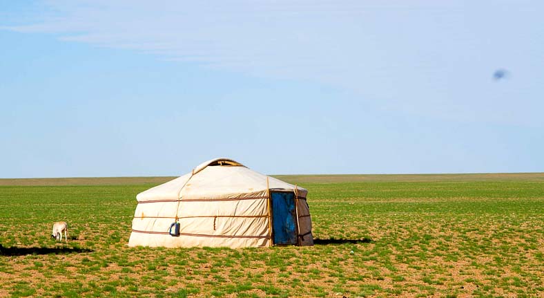 Gobi desert family