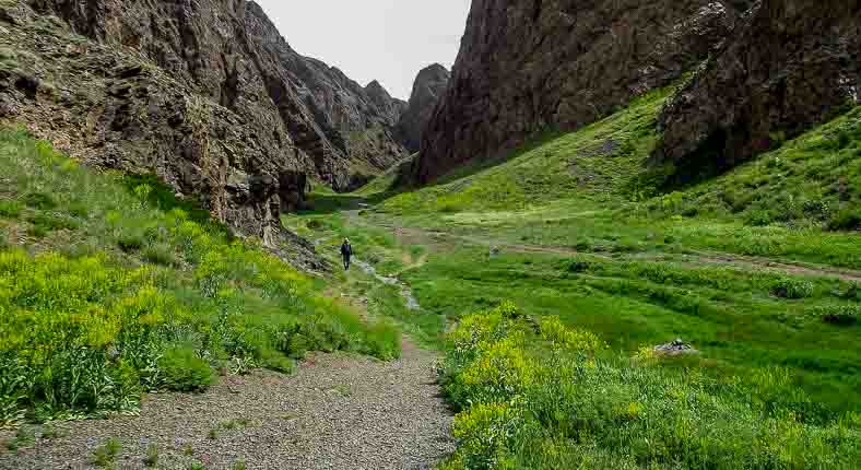 Gurvan Saikhan Mountain Gobi desert