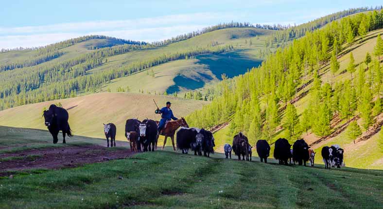 Nomad Mongolia