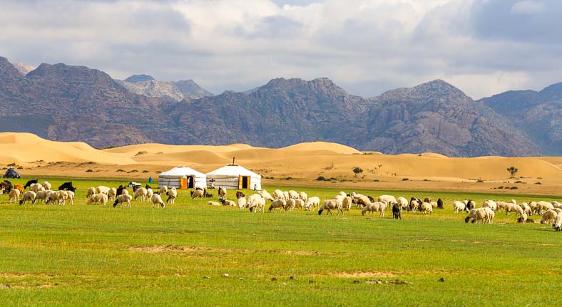 Mongolia Gobi desert cycling