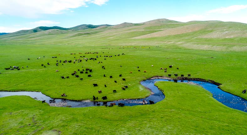 Mongolia view