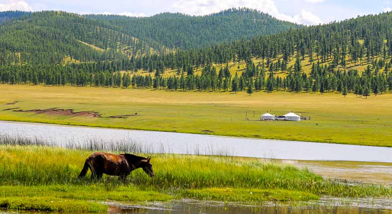 Tsenkher valley Mongolia