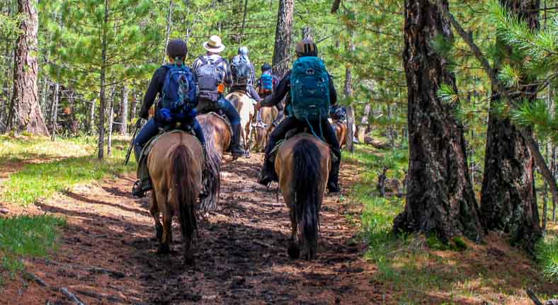 Horse riding Genghis khan homeland