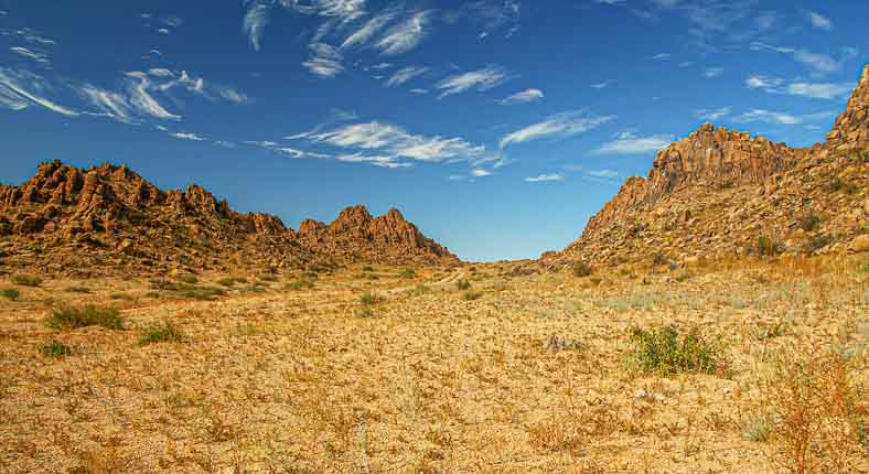 Gobi desert travel