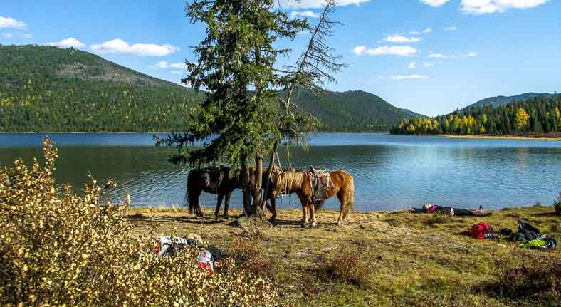 Mongolia riding trip