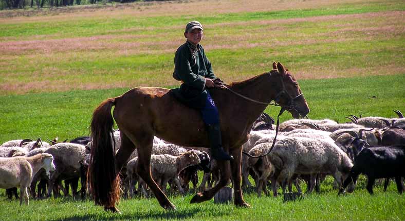 Mongolia horse rider