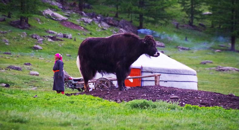 Nomads Mongolia