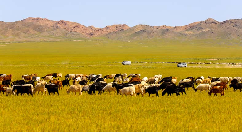 Mongolia 7 day tour