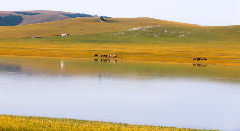 Northern Mongolia